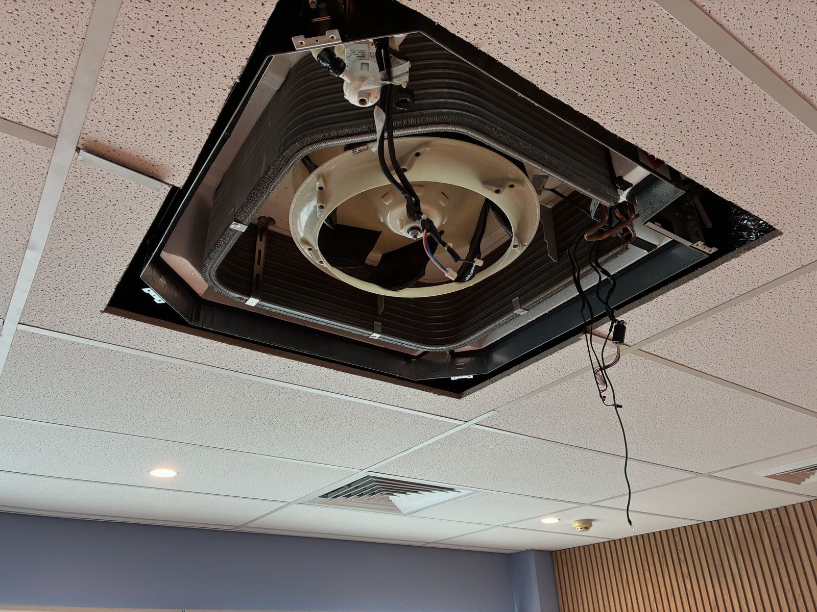 Commercial ceiling cassette air conditioner opened up for service in an office suspended ceiling, fan assembly exposed